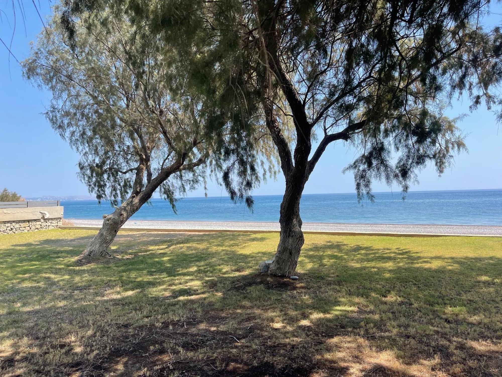 Kiotari Dream Beachfront Вилла Геннади